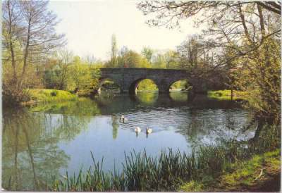 The Teme